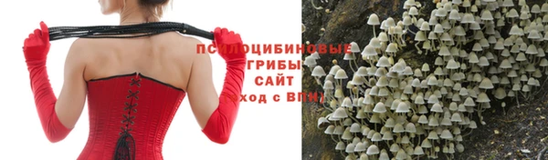 mdpv Алексин