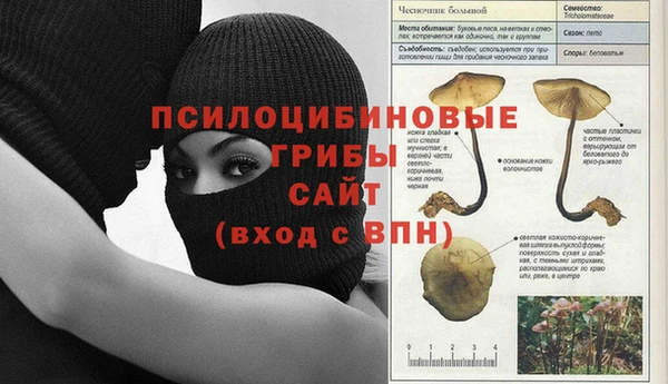 mdpv Алексеевка