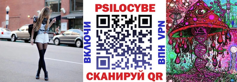 Псилоцибиновые грибы Psilocybe  Солигалич 